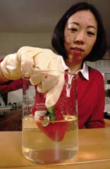 zhao[1].jpg